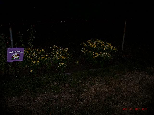 Picture 175.jpg